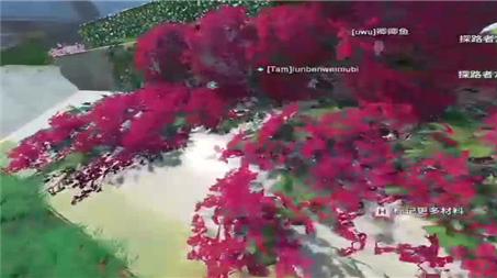 诛仙青云加点(诛仙青云加点最强战力)