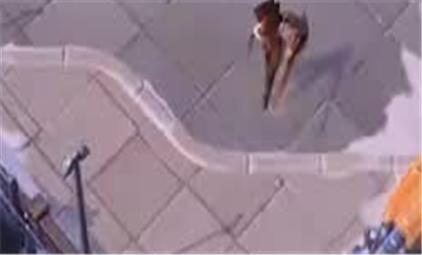 ps数码暴龙游戏攻略