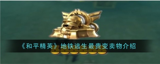 《和平精英》地铁逃生最贵变卖物介绍_和平精英地铁逃生最贵变卖物是哪个