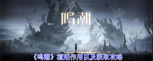 《鸣潮》植珀作用以及获取攻略登录后免费畅享游戏内容扫码登录验证码登录密码登录扫描下方二维码，3DM游戏APP