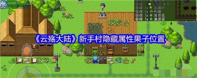 <strong>《云殇大陆》新手村隐藏属性果子位置_隐藏属性果子在哪里</strong>