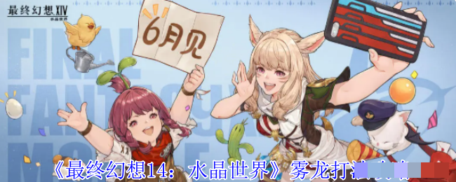 《最终幻想14：水晶世界》雾龙打法攻略