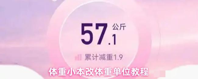 <strong>体重小本怎么改公斤_体重小本改体重单位教程</strong>