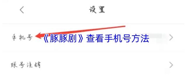 《豚豚剧》查看手机号方法