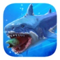 鲨鱼进化论无敌版  V1.2.0